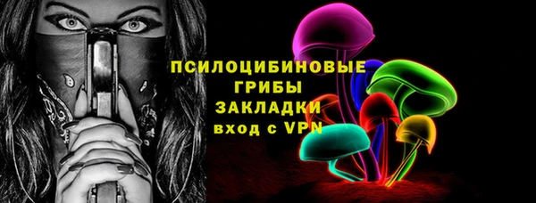 ПСИЛОЦИБИНОВЫЕ ГРИБЫ Алзамай
