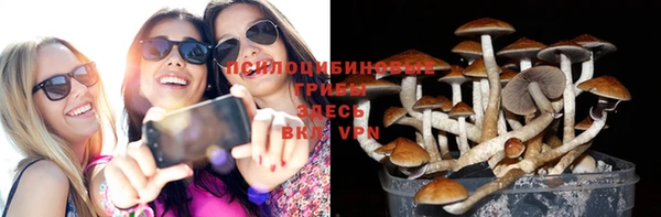 ПСИЛОЦИБИНОВЫЕ ГРИБЫ Алзамай