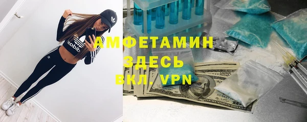 ПСИЛОЦИБИНОВЫЕ ГРИБЫ Алзамай