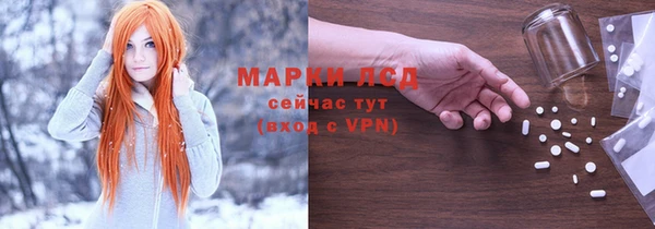 ПСИЛОЦИБИНОВЫЕ ГРИБЫ Алзамай