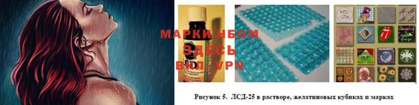 молекула духа Алексеевка