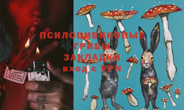 ПСИЛОЦИБИНОВЫЕ ГРИБЫ Алзамай