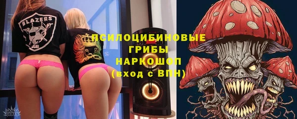 молекула духа Алексеевка