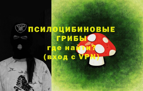 молекула духа Алексеевка