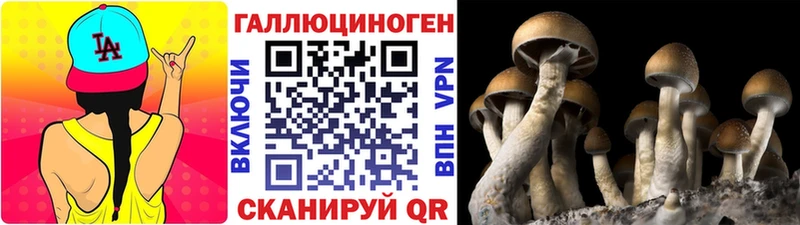 Псилоцибиновые грибы GOLDEN TEACHER сколько стоит Калининск